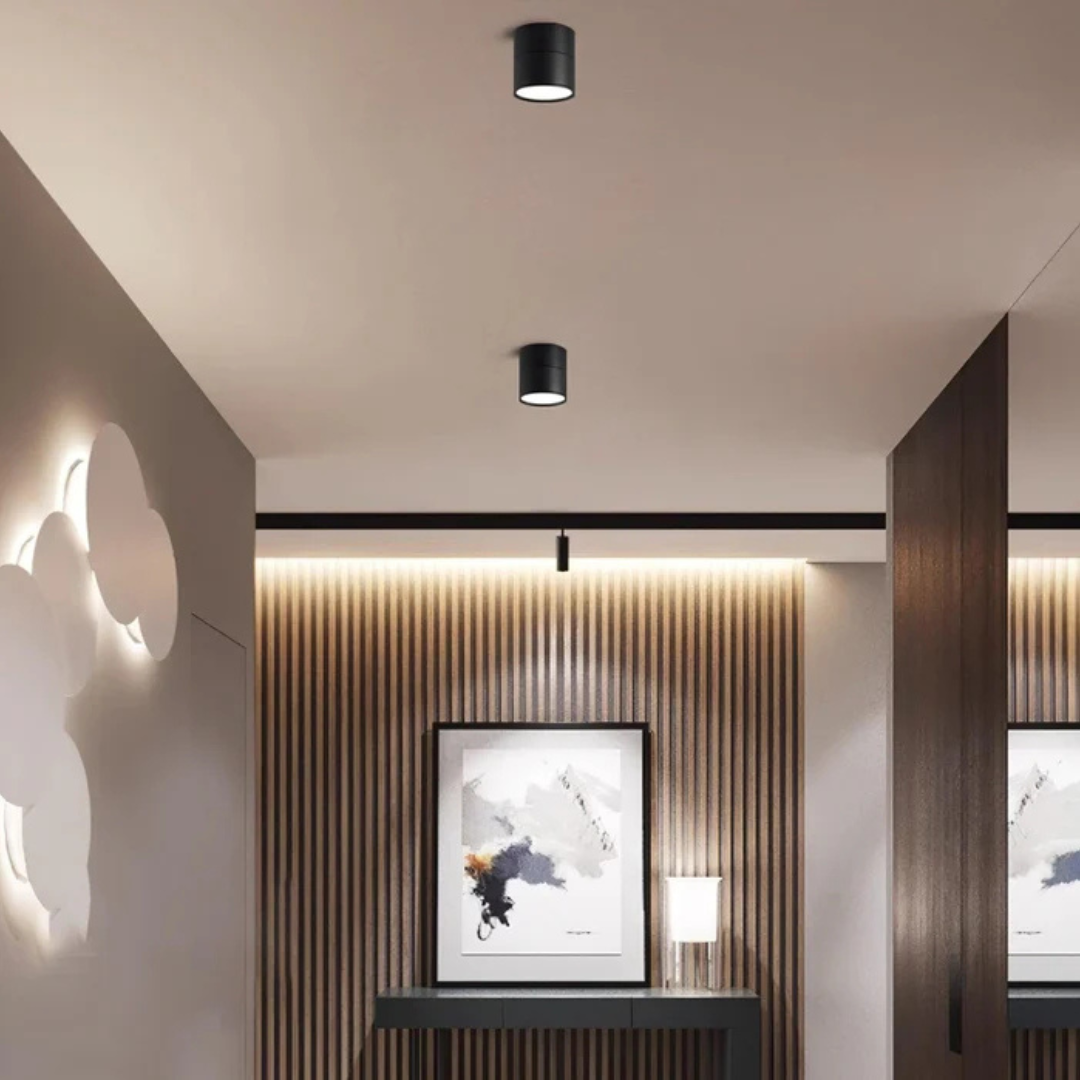 Luminaire Plafonnier LED Moderne Réglable à une Lampe