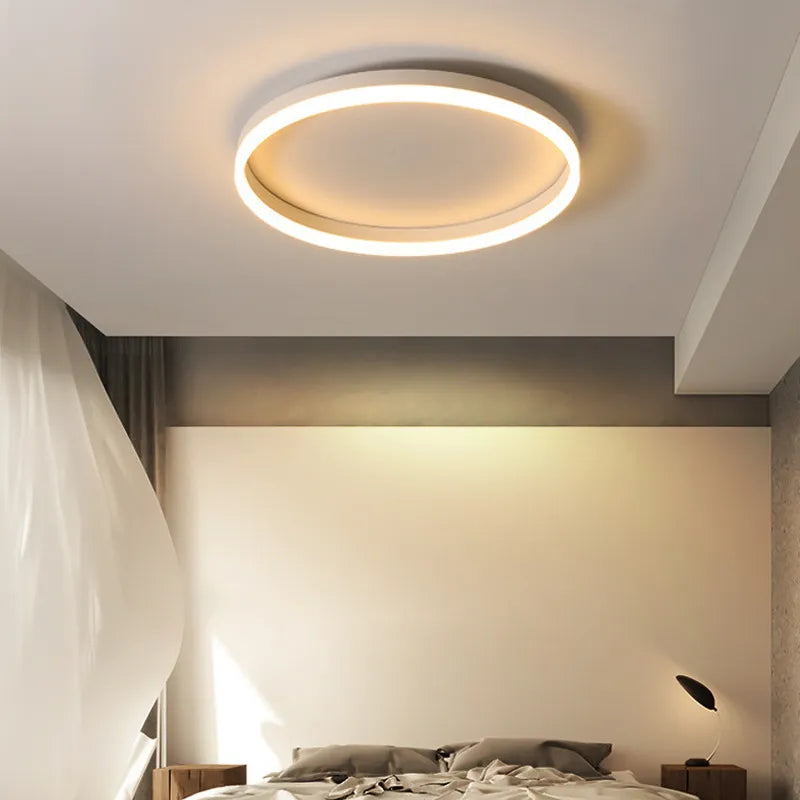 Techo contemporáneo luminoso y elegante
