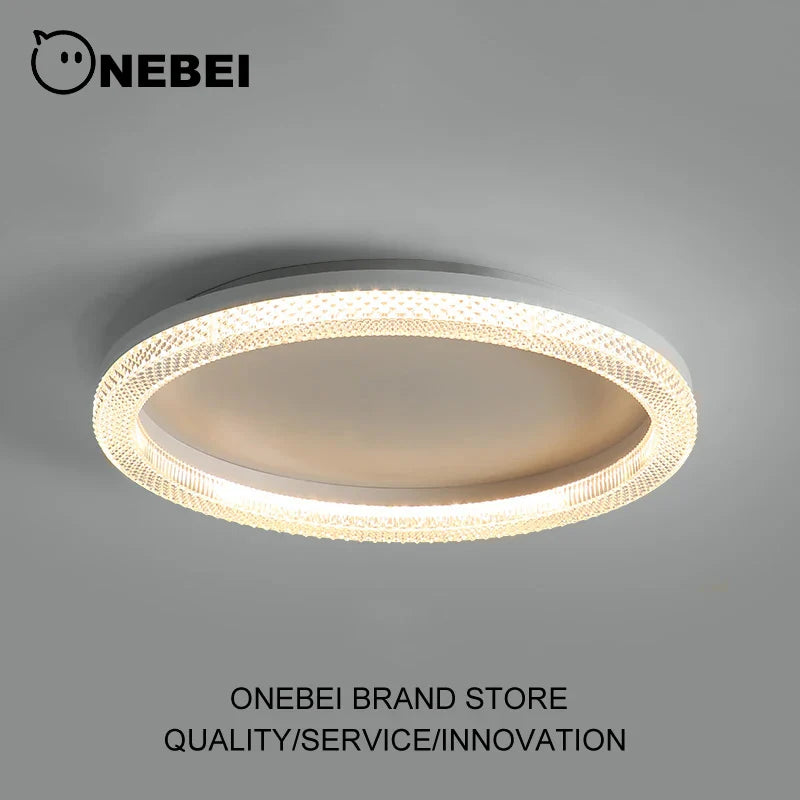 Lámpara de araña LED moderna luminosa elegante
