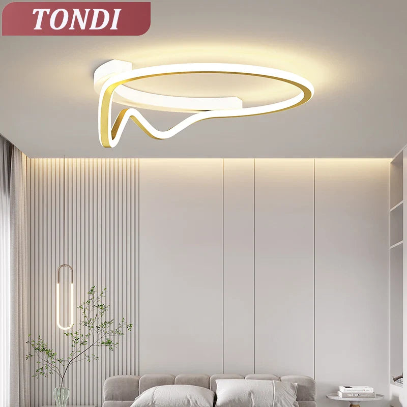 Lámpara de techo moderna diseño elegante