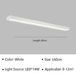 Applique Led Moderne Salle D’eau Argent 60Cm / Blanc Froid Murale Chambre