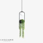 Suspension Led Ovale Métal Noir Moderne Avec Plantes Luminaire Chambre